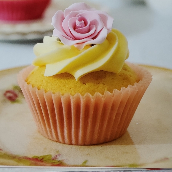 Wild about Cupcakes recipe book - Picture 3 of 4
